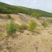 Rudar projekt - Košute Turjaci